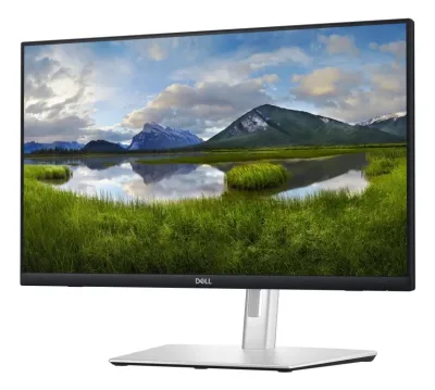 Dell P2424HT