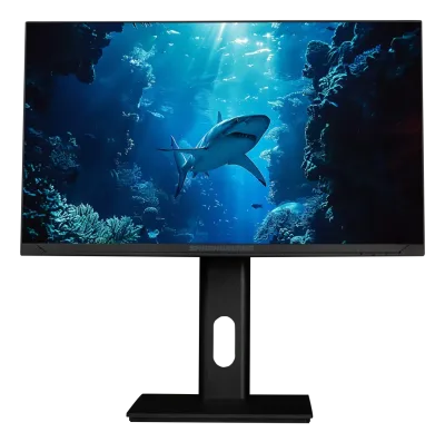 SharkGaming