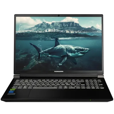 SharkGaming 9G17-70Ti Laptop